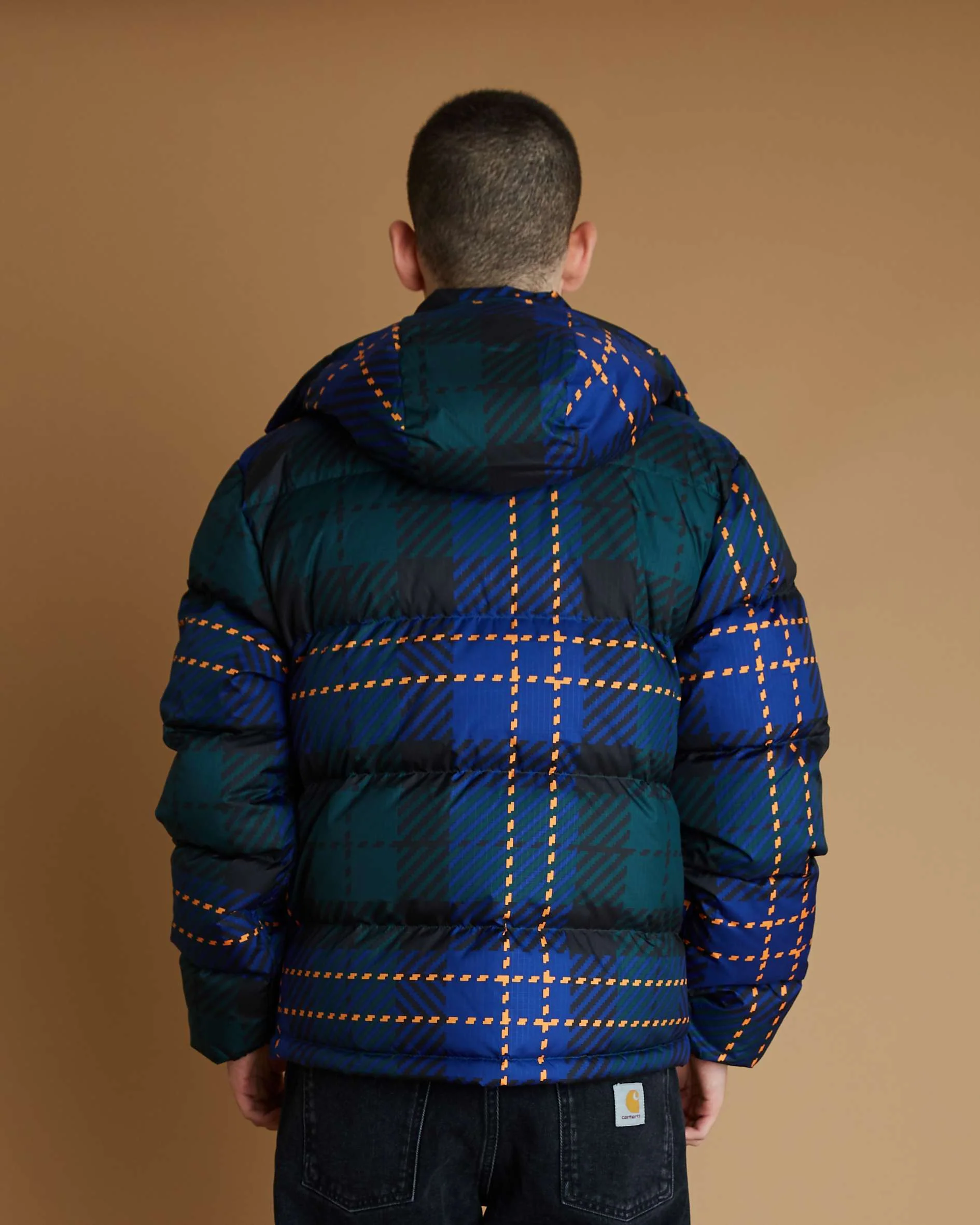 The North Face M Sierra Downn Jacket (Ponderosa Green Large Halfdome Plaid Print) - Image 3